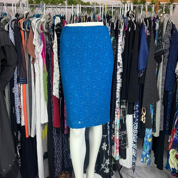 |•ANTHRPOLOGIE•| Moulinette Soeurs Lapis Laced Pencil Skirt - Picture 2 of 12